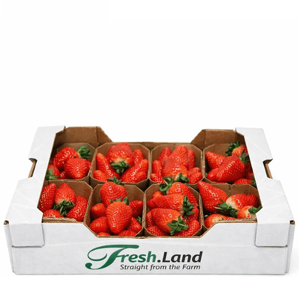 Øko Jordbær  🇪🇸 — Fresh.Land