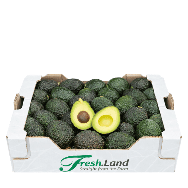 Øko Hass Avocado  🇪🇸 — Fresh.Land