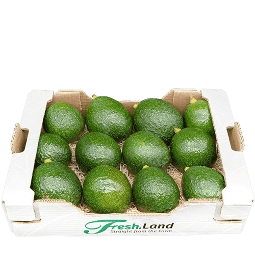 Øko Reed Avocado  🇪🇸