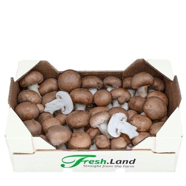 Øko Brun Champignon  🇩🇪 — Fresh.Land
