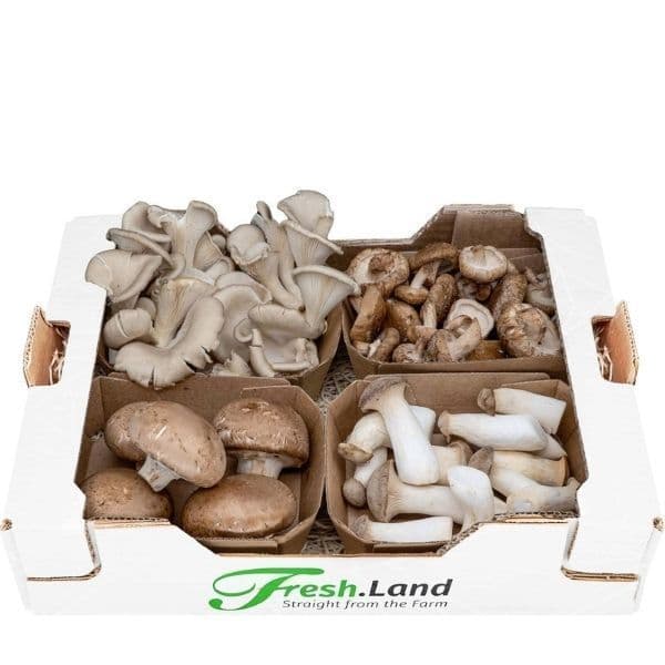 Øko Svampekassen  🇩🇪