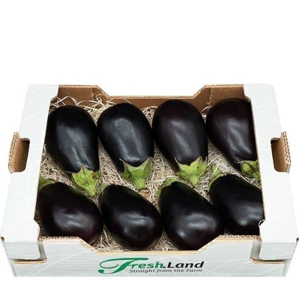 Øko Aubergine  🇪🇸