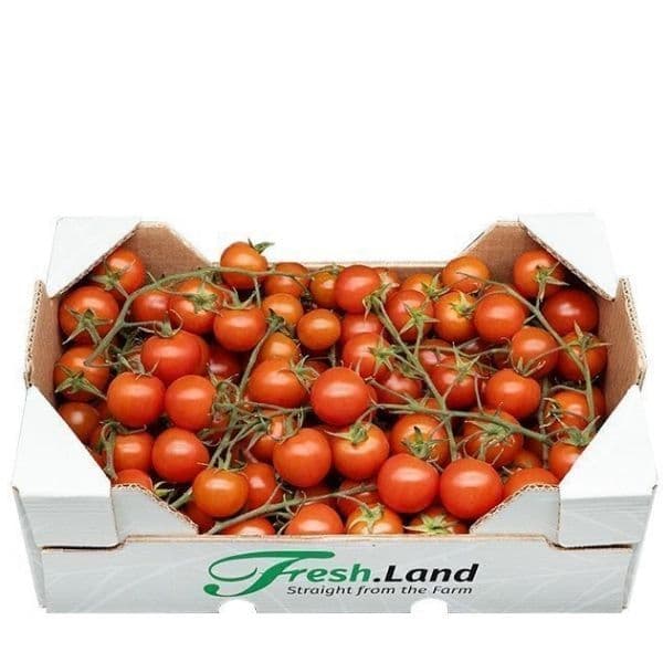 Øko Cherrytomater på stilk   🇪🇸 — Fresh.Land