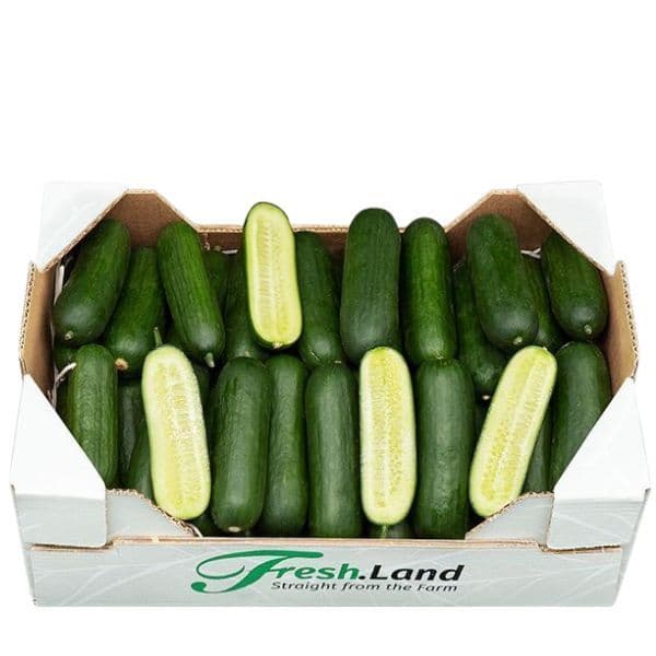 Øko Snack Agurker  🇪🇸 — Fresh.Land