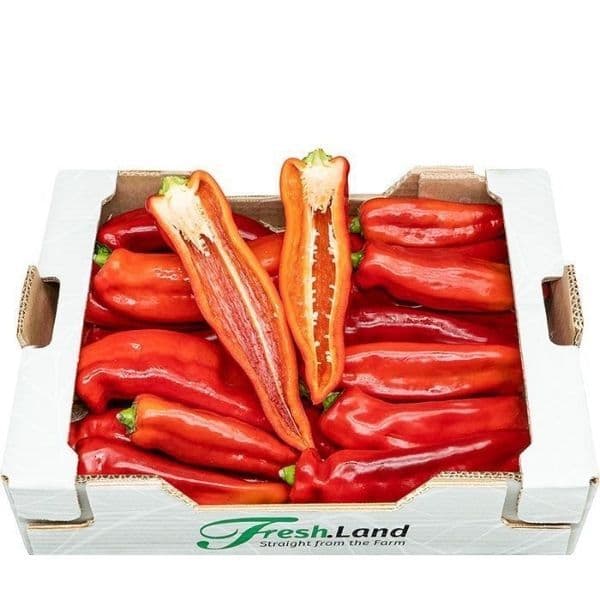 Øko Palermopeber  🇪🇸 — Fresh.Land