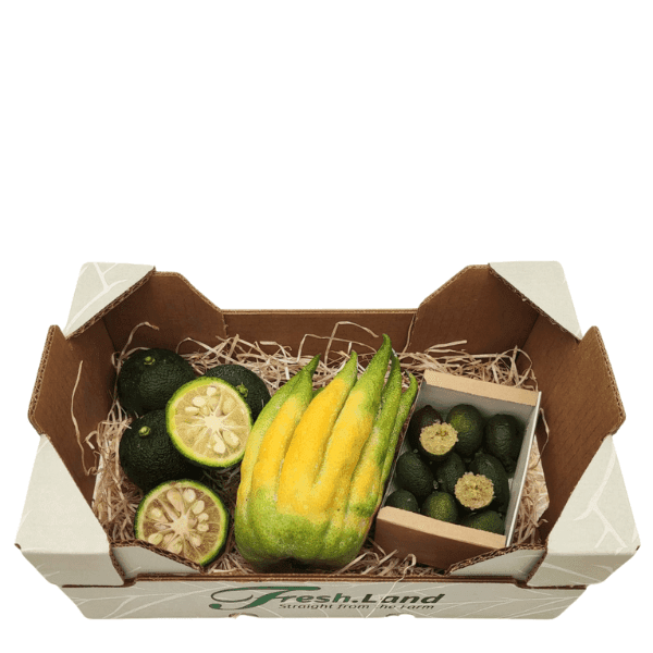 Øko Eksotisk Citrus  🇪🇸 — Fresh.Land