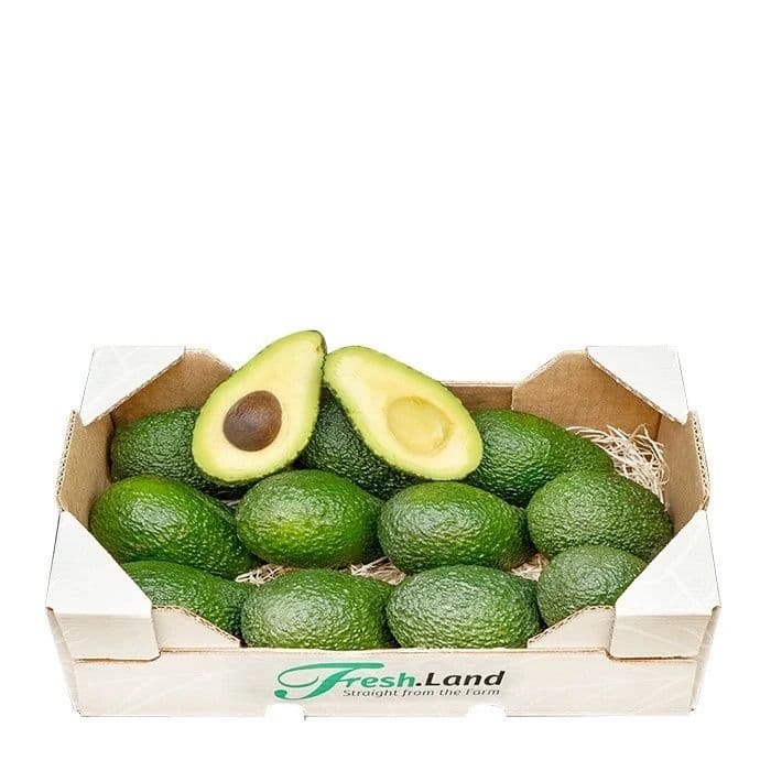 Øko Maluma Hass Avocado  🇪🇸