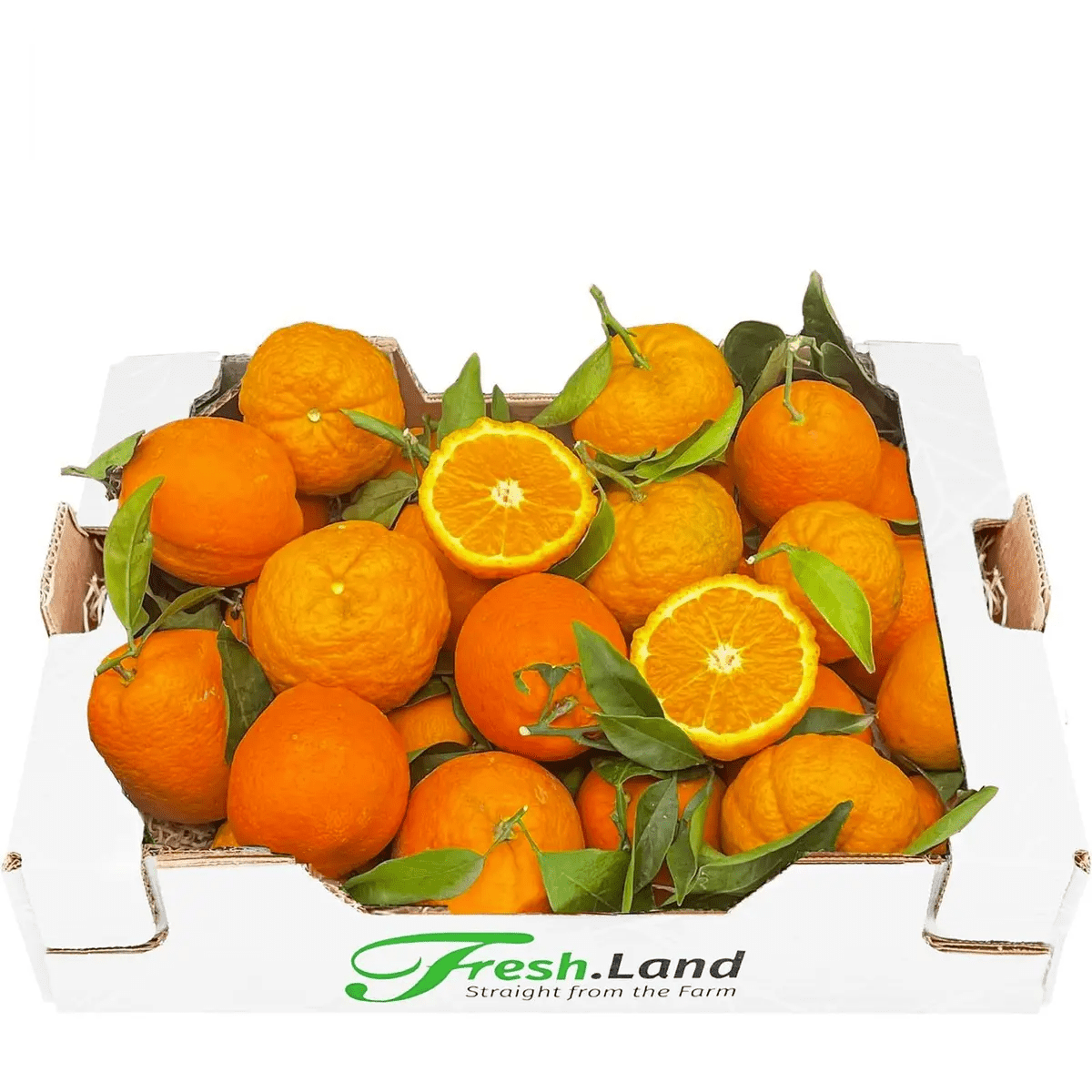 Øko Pomerans  🇪🇸 — Fresh.Land