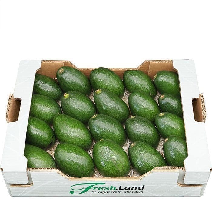 Øko Kæmpe Avocado  🇪🇸