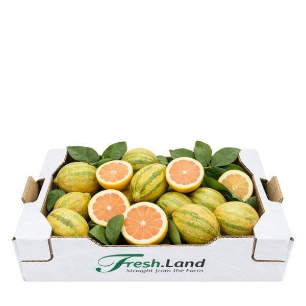 Øko Tiger Citroner  🇪🇸 — Fresh.Land