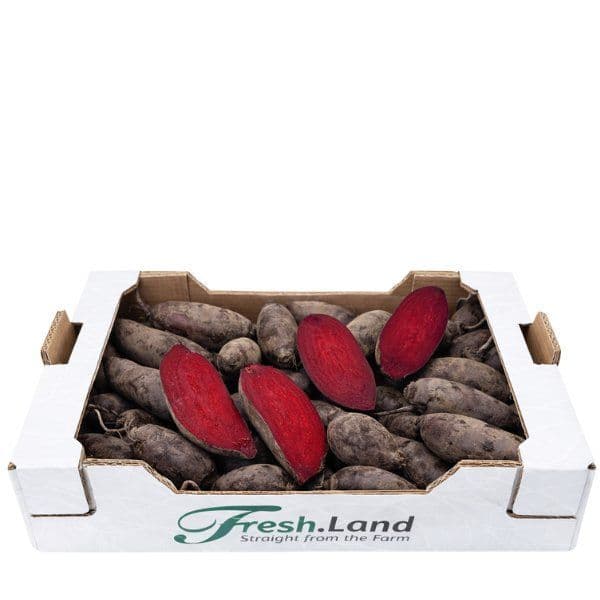 Øko Rødbeder  🇩🇰 — Fresh.Land