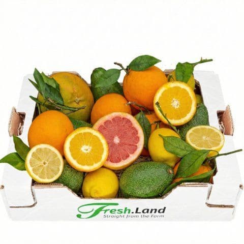 Øko Andalusisk Mix  🇪🇸 — Fresh.Land