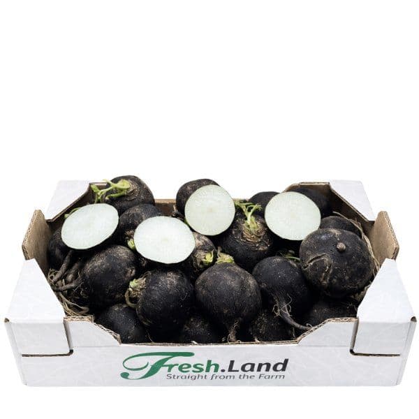 Øko Sort Ræddike  🇩🇰 — Fresh.Land