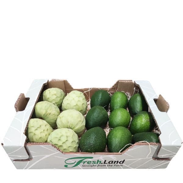 Øko Avocado og Cherimoya  🇪🇸 — Fresh.Land
