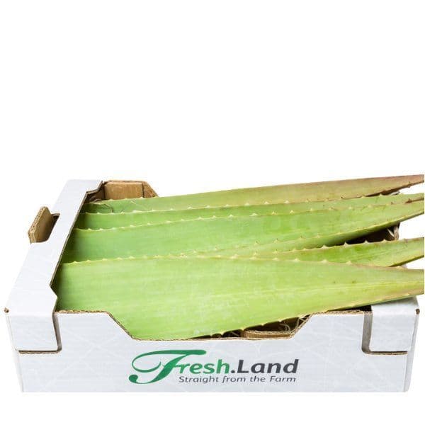 Øko Aloe Vera  🇪🇸 — Fresh.Land