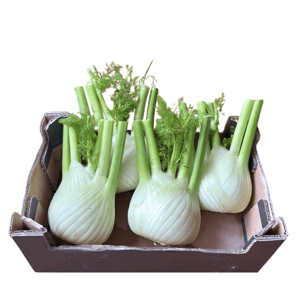 Øko Fennikel  🇪🇸 — Fresh.Land