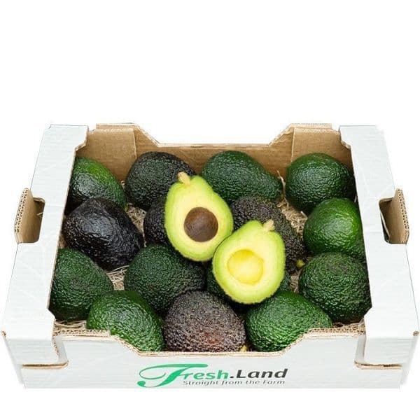 Øko Hass Avocado 🇰🇪 — Fresh.Land