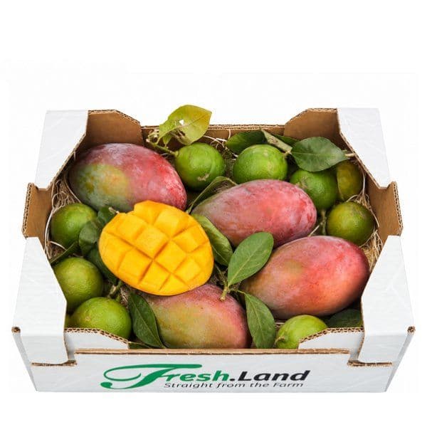 Øko Mango- & Citronmix  🇪🇸