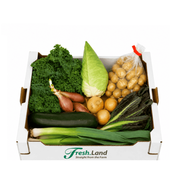 Øko Efterårsgrønt  🇩🇰