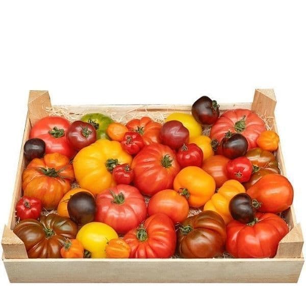 Heirloom Tomater  🇧🇪