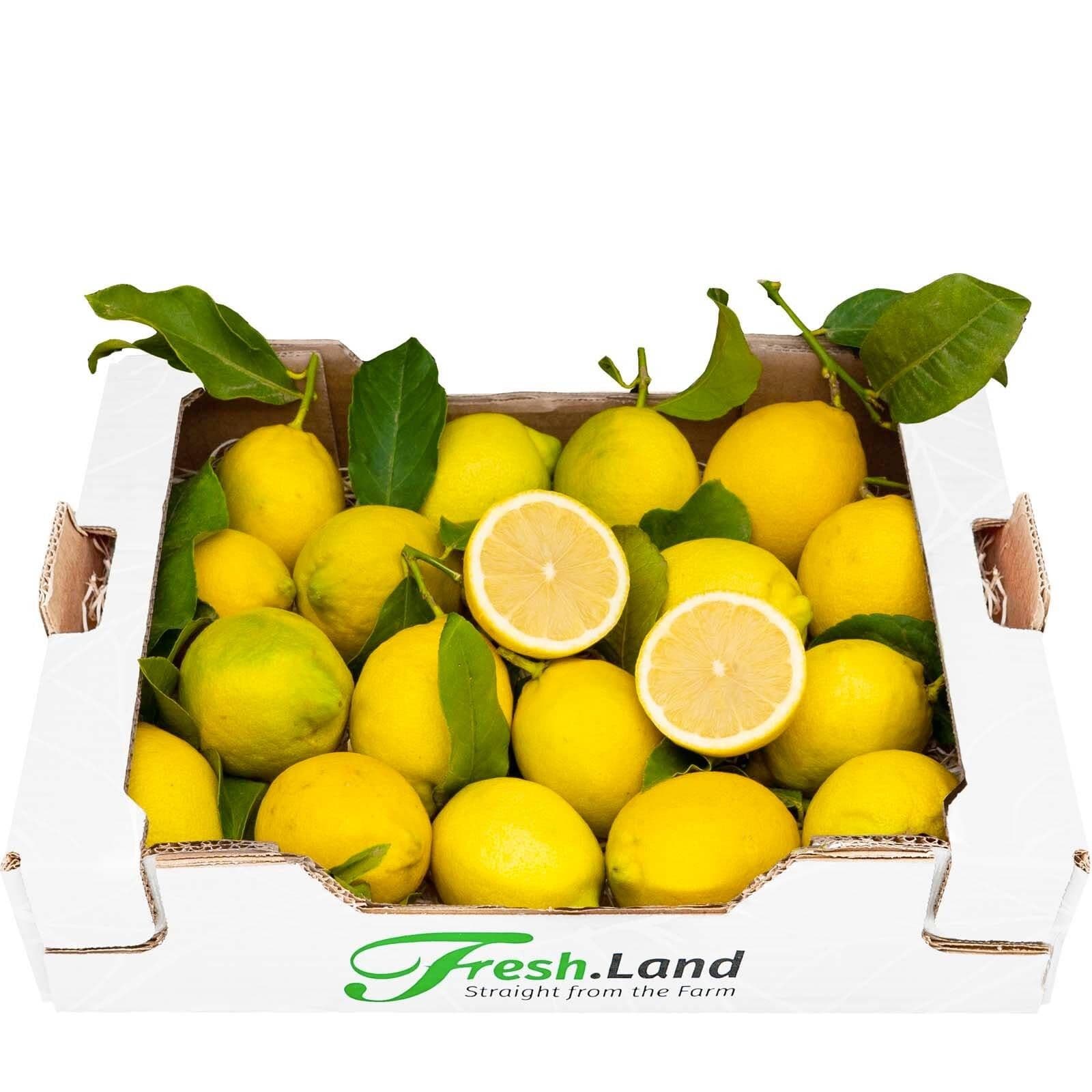 Øko Citron 🇪🇸