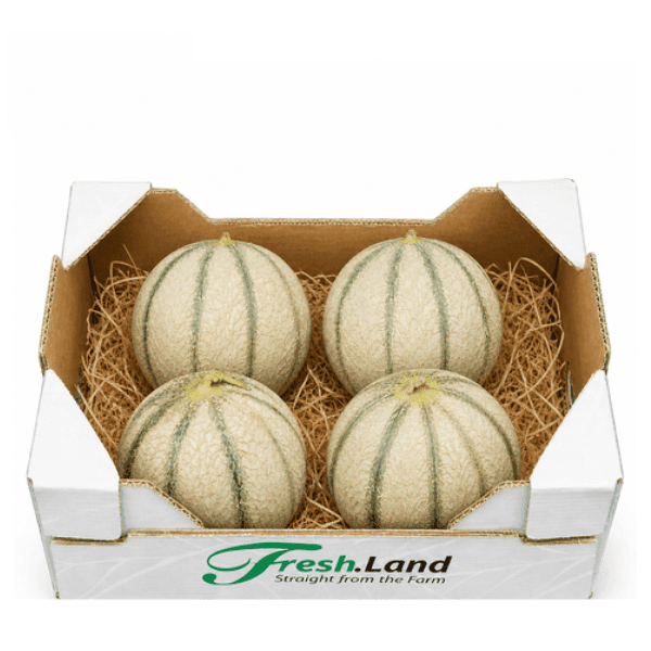 Øko Mini Cantaloupe Melon 🇪🇸
