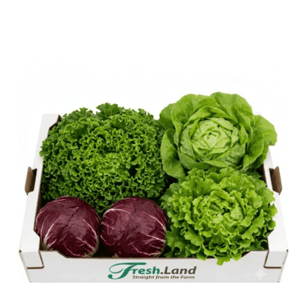 Øko Salatkassen 🇩🇰 — Fresh.Land