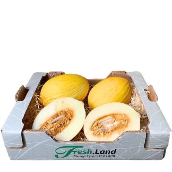 Øko honningmelon 🇪🇸 — Fresh.Land