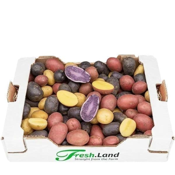 Øko Regnbue Kartofler 🇩🇰 — Fresh.Land