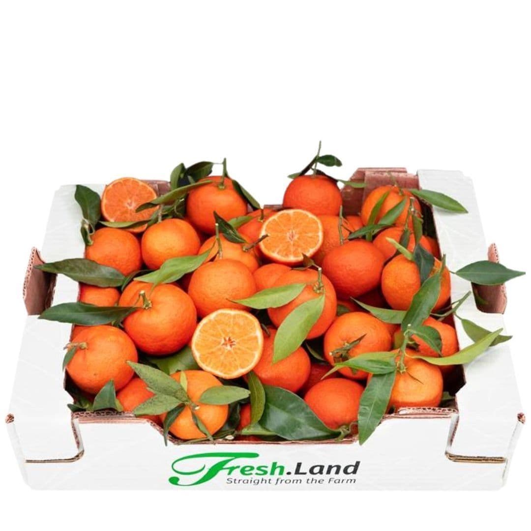 Øko Klementiner 🇪🇸 — Fresh.Land