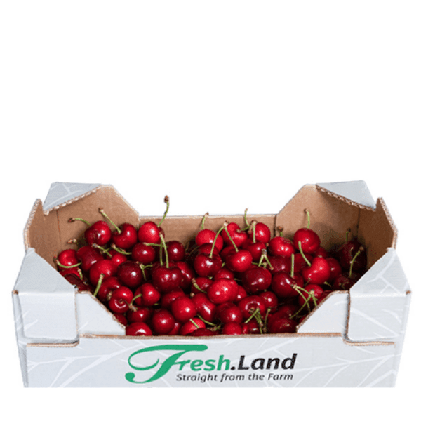 Øko Kirsebær 🇪🇸 — Fresh.Land